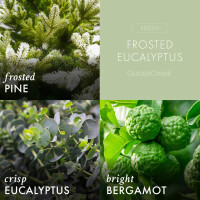 Frosted Eucalyptus 3-Docht-Kerze 411g