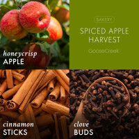 Spiced Apple Harvest Schaumseife 270ml