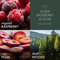 Sheer Raspberry & Plum Schaumseife 270ml
