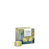Sicilian Lemon Teelichter 12 Stück