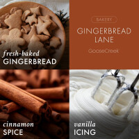 Gingerbread Lane Schaumseife 270ml