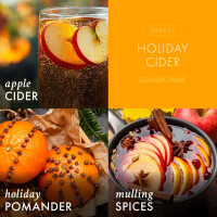 Holiday Cider Schaumseife 270ml