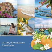 Mediterranean Breeze Elektrischer Duftspender - Nachfüller