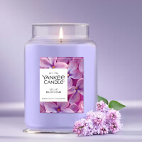 Lilac Blossoms Großes Glas 623g