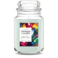 Magical Bright Lights Großes Glas 623g