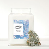 Sparkling Snow™ Großes Glas 623g
