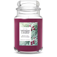 Sparkling Winterberry Großes Glas 623g