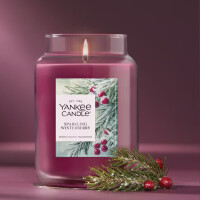 Sparkling Winterberry Großes Glas 623g