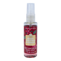 Bright Christmas Morning Handdesinfektions Spray 29ml