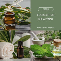 Eucalyptus Spearmint - Aromatherapy Luxe Bath 260ml