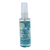 Fresh Rainfall Handdesinfektions Spray 29ml