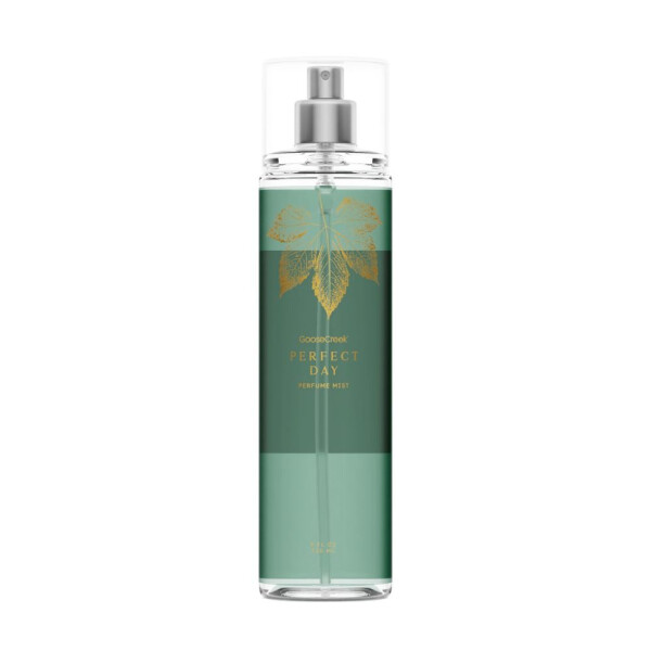 Perfect Day Bodyspray 236ml