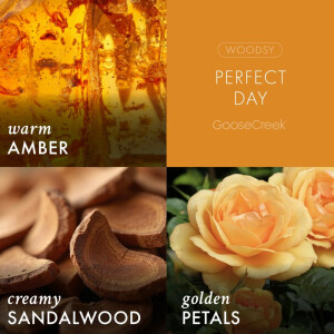 Perfect Day Bodyspray 236ml