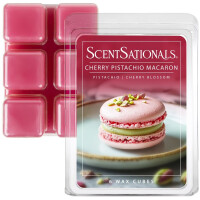 Cherry Pistachio Macaron Wachsmelt 70,9g