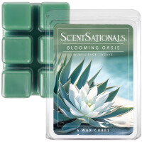 Blooming Oasis Wachsmelt 70,9g