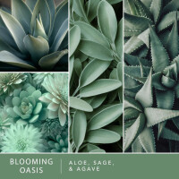 Blooming Oasis Wachsmelt 70,9g