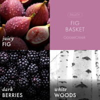 Fig Basket 3-Docht-Kerze 411g
