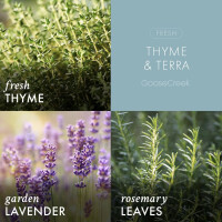 Thyme & Terra 3-Docht-Kerze 411g