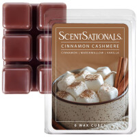 Cinnamon Cashmere Wachsmelt 70,9g