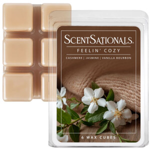 Feelin Cozy Wachsmelt 141,8g Value Pack