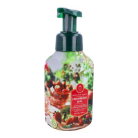 Strawberry Kiwi Schaumseife 259ml