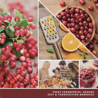 Cranberry Chutney Wachsmelt 75g