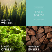 Hinoki Forest 3-Docht-Kerze 411g