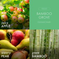 Bamboo Grove 3-Docht-Kerze 411g