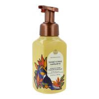 Sunset Citrus Margarita Schaumseife 259ml