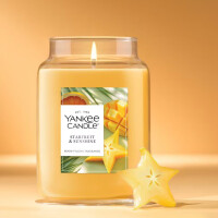 Starfruit & Sunshine Großes Glas 623g