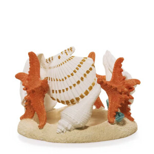 Seashell Kerzenhalter - Jar Holder