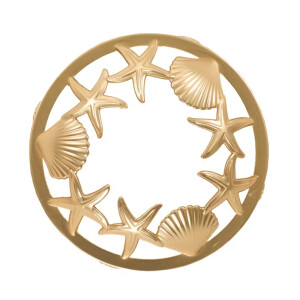 Seashell Illuma-Lid®