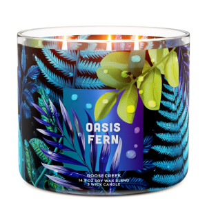 Oasis Fern 3-Docht-Kerze 411g