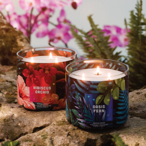 Oasis Fern 3-Docht-Kerze 411g