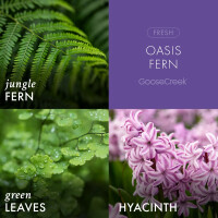 Oasis Fern 3-Docht-Kerze 411g