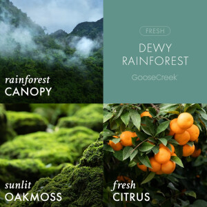 Dewy Rainforest 3-Docht-Kerze 411g