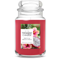 Tropical Dragonfruit Großes Glas 623g
