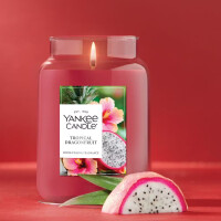 Tropical Dragonfruit Großes Glas 623g