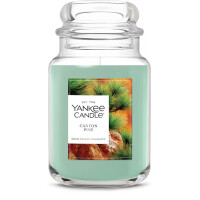 Canyon Pine Großes Glas 623g