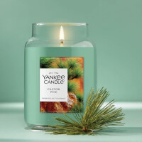 Canyon Pine Großes Glas 623g