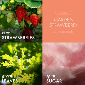 Garden Strawberry 3-Docht-Kerze 411g