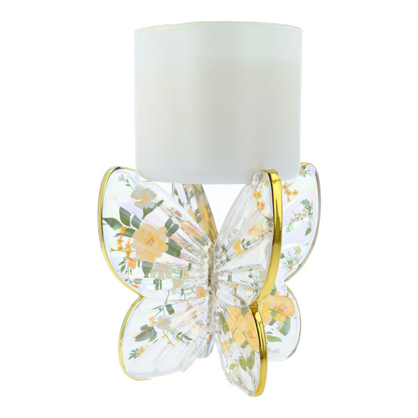 Glass Butterfly Jar Holder