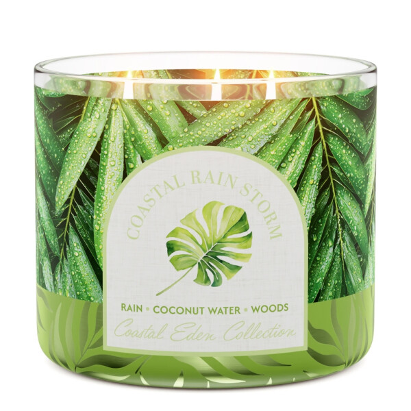 Coastal Rain Storm 3-Docht-Kerze 411g