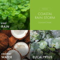 Coastal Rain Storm 3-Docht-Kerze 411g