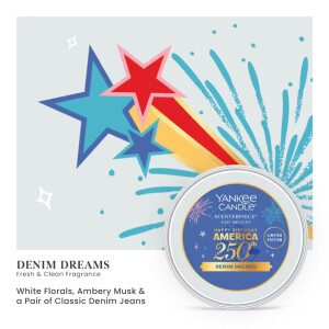 Denim Dreams Scenterpiece™ Easy MeltCup