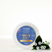 Denim Dreams Scenterpiece™ Easy MeltCup