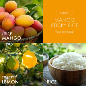 Mango Sticky Rice 3-Docht-Kerze 411g