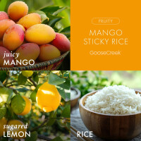 Mango Sticky Rice 3-Docht-Kerze 411g