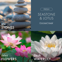 Seastone & Lotus 3-Docht-Kerze 411g