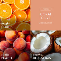 Coral Cove 3-Docht-Kerze 411g